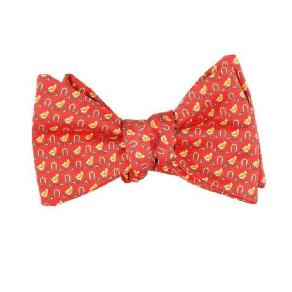 NWOT Peter Blair Chick Magnet Orange Yellow Silk Bow Tie